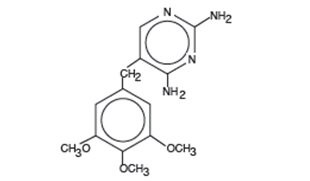 TMP-structure