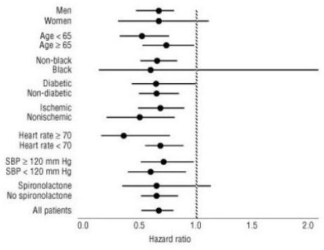 Figure 2. Effects on Mortality for Subgroups in COPERNICUS