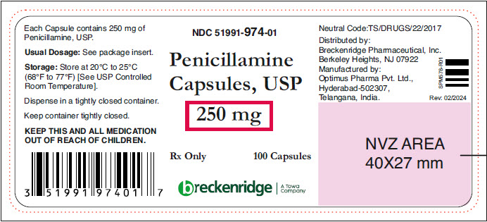 PRINCIPAL DISPLAY PANEL - 250 mg Capsule Bottle Label